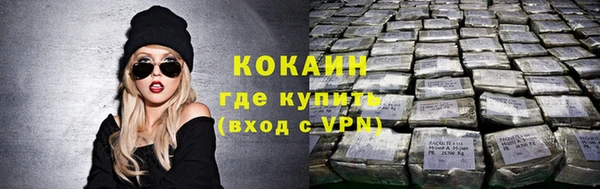 таблы Богородицк
