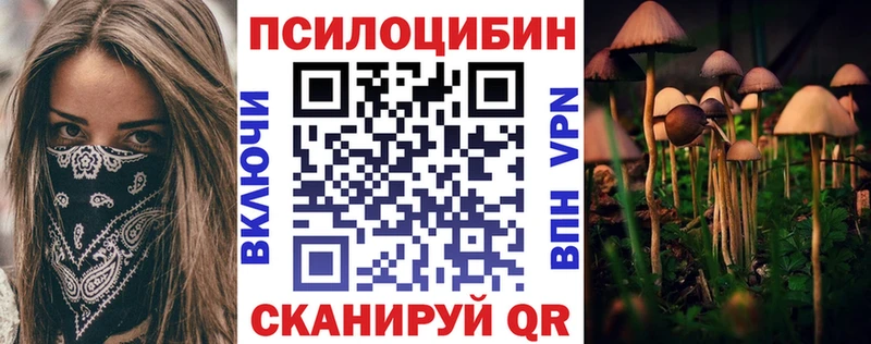 Псилоцибиновые грибы Psilocybe Миньяр